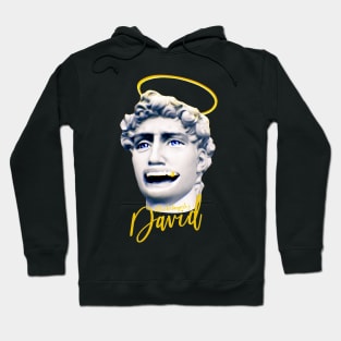 Angel David Statue by Michelangelo Hoodie